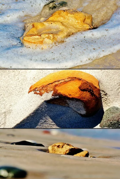 Что вы найдете на пляже — стоковое фото