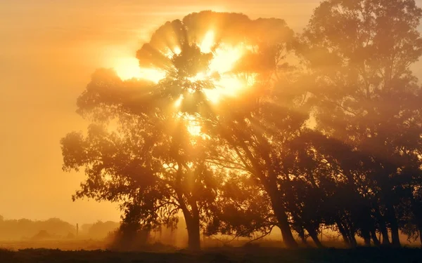 güneş mavi sakız parlıyor