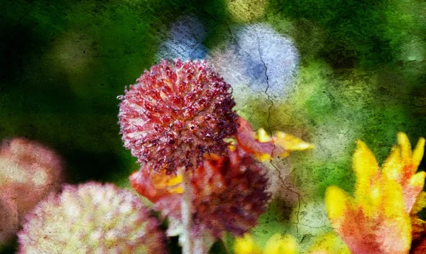 Flor en el sol —  Fotos de Stock