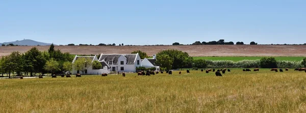 Casa de fazenda branca — Fotografia de Stock