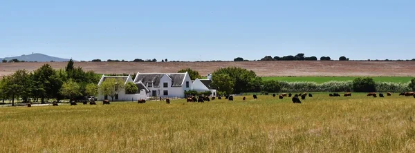 Maison de ferme blanche — Photo