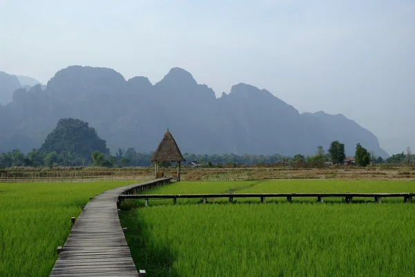 Chemin en bois dans l'herbe sur fond de montagnes — Photo