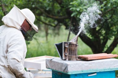 Arıcı kovan arı ile çalışma. Seçici odak ve küçük alan derinliği..