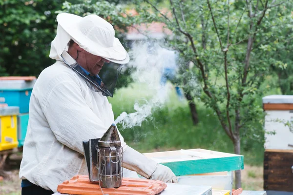 Apicultor trabajando con abejas en la colmena. Enfoque selectivo y pequeña profundidad de campo .. — Foto de Stock