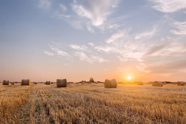 Bales of hay — Stock Photo, Image