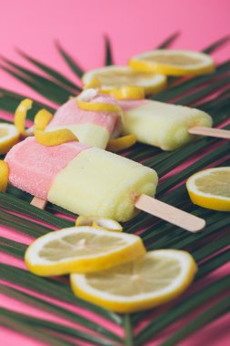 Palm çiçek tropikal dondurma