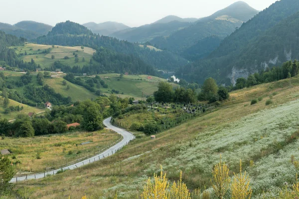 Національний парк тара — стокове фото