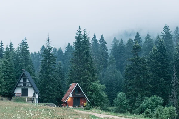 Будинки в лісі під час туману — стокове фото