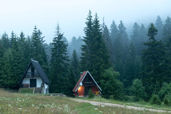 Casas na floresta durante o nevoeiro — Fotografia de Stock