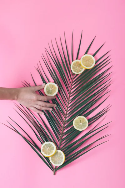 Tranches de main et de citron sur la feuille de palme — Photo