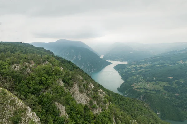 Nemzeti park tara Stock Kép