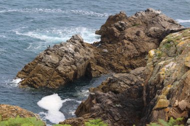 Manzara Celtic Denizi