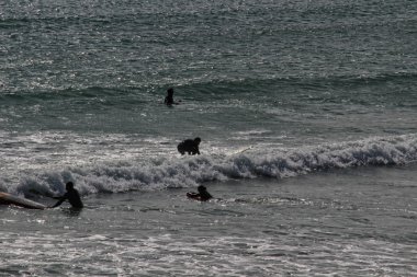 Manzara Celtic Denizi