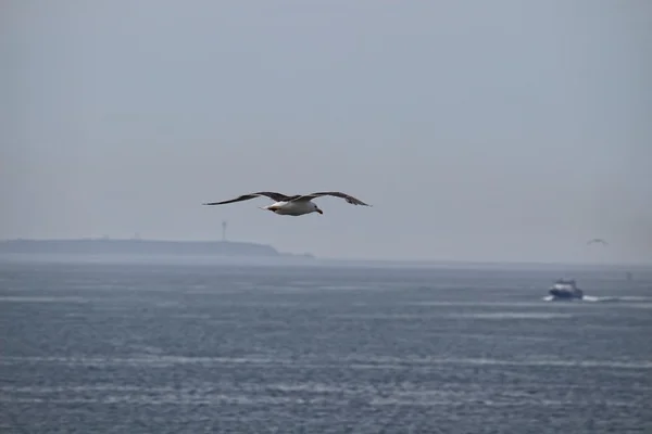 ケルト海からの風景 — ストック写真