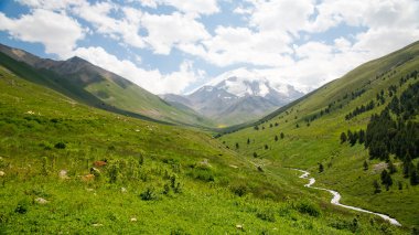 Dağ vadilerin ve tepelerin görünümünü