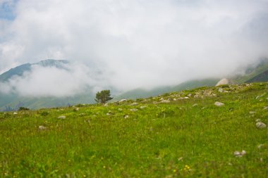 Dağ vadilerin ve tepelerin görünümünü