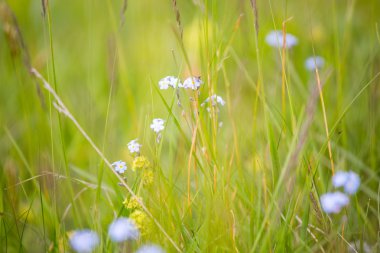 Dağ vadilerin ve tepelerin görünümünü