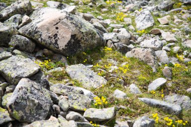 Dağ vadilerin ve tepelerin görünümünü