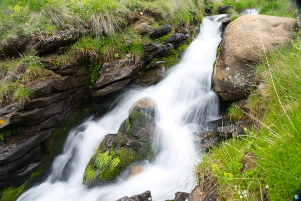 Saf dağ su — Stok fotoğraf