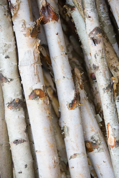 Texture in legno. sfondo vecchi pannelli — Foto Stock