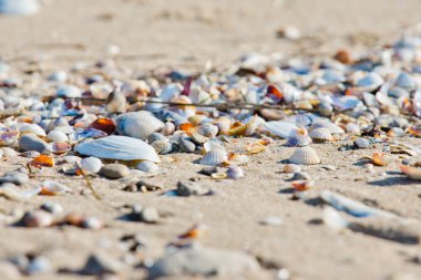 günbatımı, gökyüzü denizde