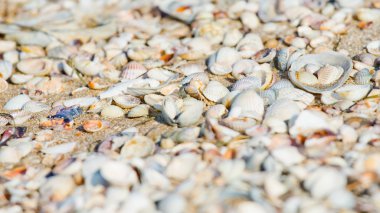 günbatımı, gökyüzü denizde