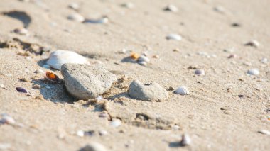 günbatımı, gökyüzü denizde