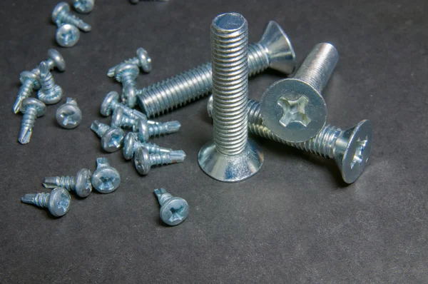 Cıvata ve vidalar Grey. Hemen dik cıvata (ön ışık)