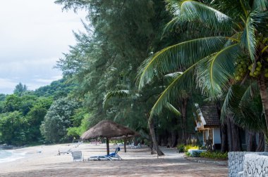Bambu şemsiye beyaz Sandy plaj ve sahil villaları ile rahat koltuklar. Phuket. Tayland.