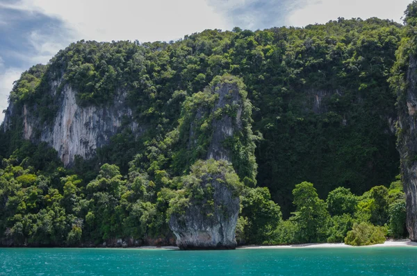 Træerne dækkede klipperne. Koh Hong Island ved Phang Nga Bay nær Krabi og Phuket. Thailand . - Stock-foto