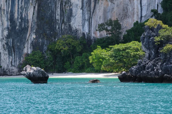 La piccola e appartata spiaggia degli alberi dell'isola coperta. Koh Hong Island a Phang Nga Bay vicino Krabi e Phuket. Tailandia . — Foto Stock