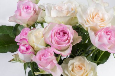 Pembe ve beyaz güller