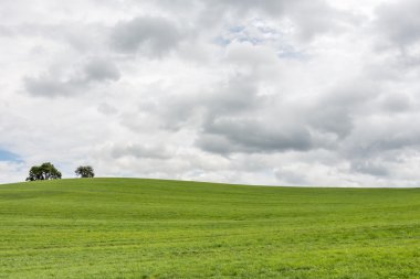 Bir çim tepe (sol üzerinde kara bulutlar)