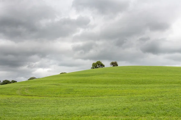 Mörka moln över en gräs hill (center) — Stockfoto