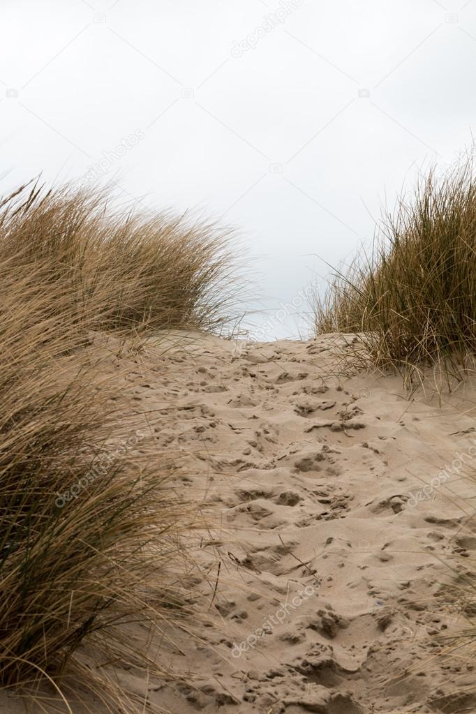 Footsteps in the sand in between sandy grass dunes
