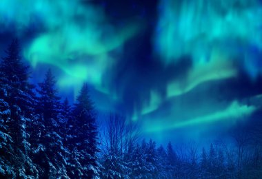 northern lights over the forest at night clipart