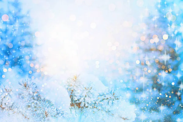 Winter Achtergrond Met Fir Takken Sneeuw — Stockfoto