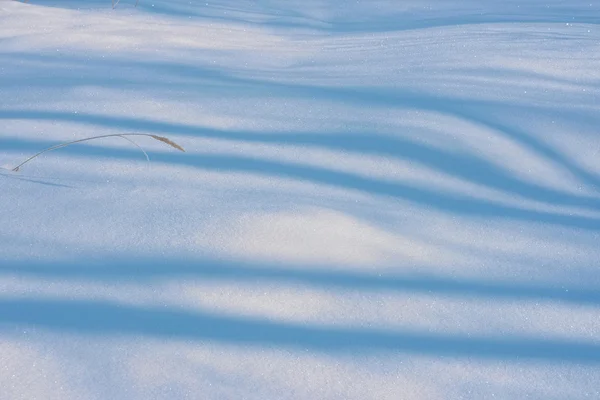 Gölgeler beyaz kar üzerinde mavi çizgiler — Stok fotoğraf