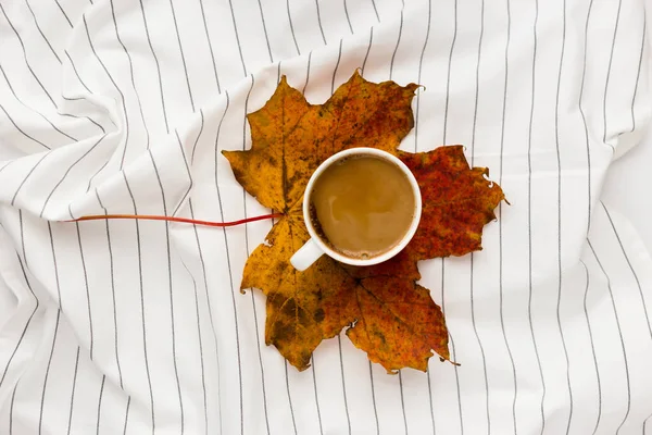 Őszi kompozíció. Egy csésze kávé, női divat csweater, őszi levelek fehér háttérrel. Lapos fekvés, felülnézet, másolás — Stock Fotó