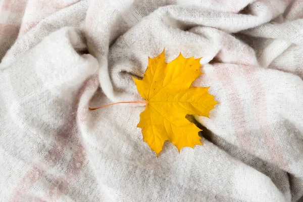 Autumn maple leaf on crumpled gray wool blanket. Soft and warm fabric crumpled in folds. Texture