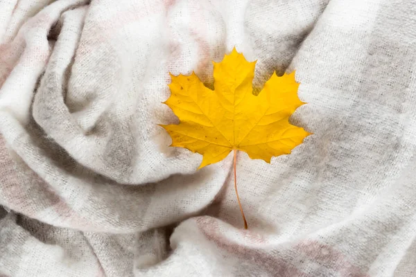 Őszi juharfalevél gyűrött szürke gyapjú takarón. Puha és meleg szövet gyűrött redők. Textúra — Stock Fotó