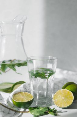 Limonlu meyve ve nane yapraklı detoks suyu. Nane Taze ev yapımı limonata