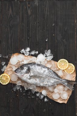 Raw dorada fish or gilt-head bream on ice with lemon slices and rosemary over black wooden background, flat lay, top view.