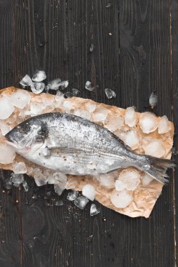 Çiğ dorada balığı ya da yaldızlı başlık buzun üzerinde siyah ahşap zemin, düz yatış, üst manzara.