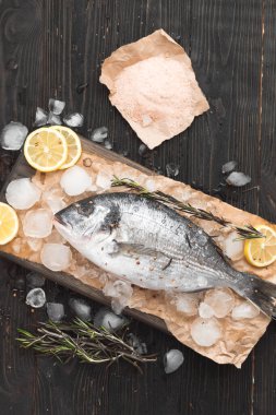 Çiğ dorada balığı ya da yaldızlı başlık, buzda limon dilimleri, siyah ahşap zemin üzerinde tuz ve biberiye, düz zemin, üst manzara.