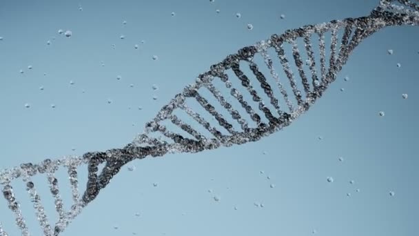 Eliche del DNA rotanti che si muovono tra celle, sfondo astratto. Concetto di genoma. — Video Stock