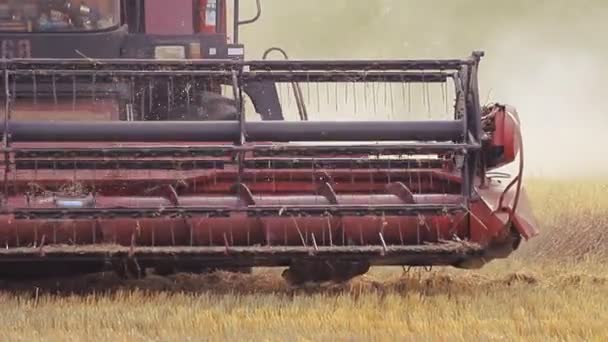 Combine la cosechadora en el campo. Primer plano de un carrete. Temporada de cosecha. — Vídeos de Stock