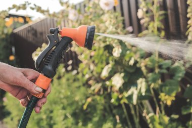 Yeşil tarlayı sulamak için bahçe hortumu ve sprey tabanca hazır.