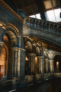 Londra 'daki Doğa Tarihi Müzesi' nin detayları. . 