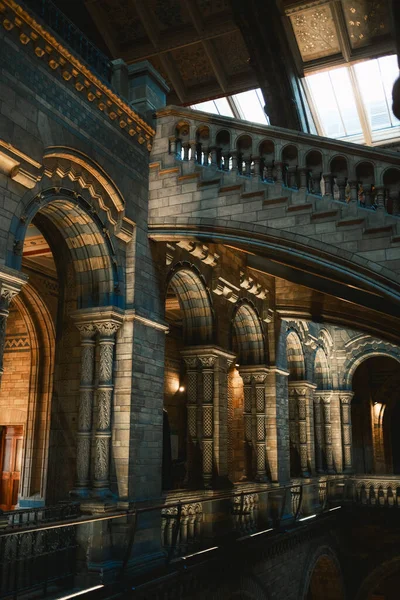 Londra 'daki Doğa Tarihi Müzesi' nin detayları. . 